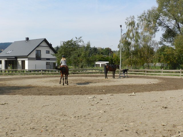 Babie Lato 2016